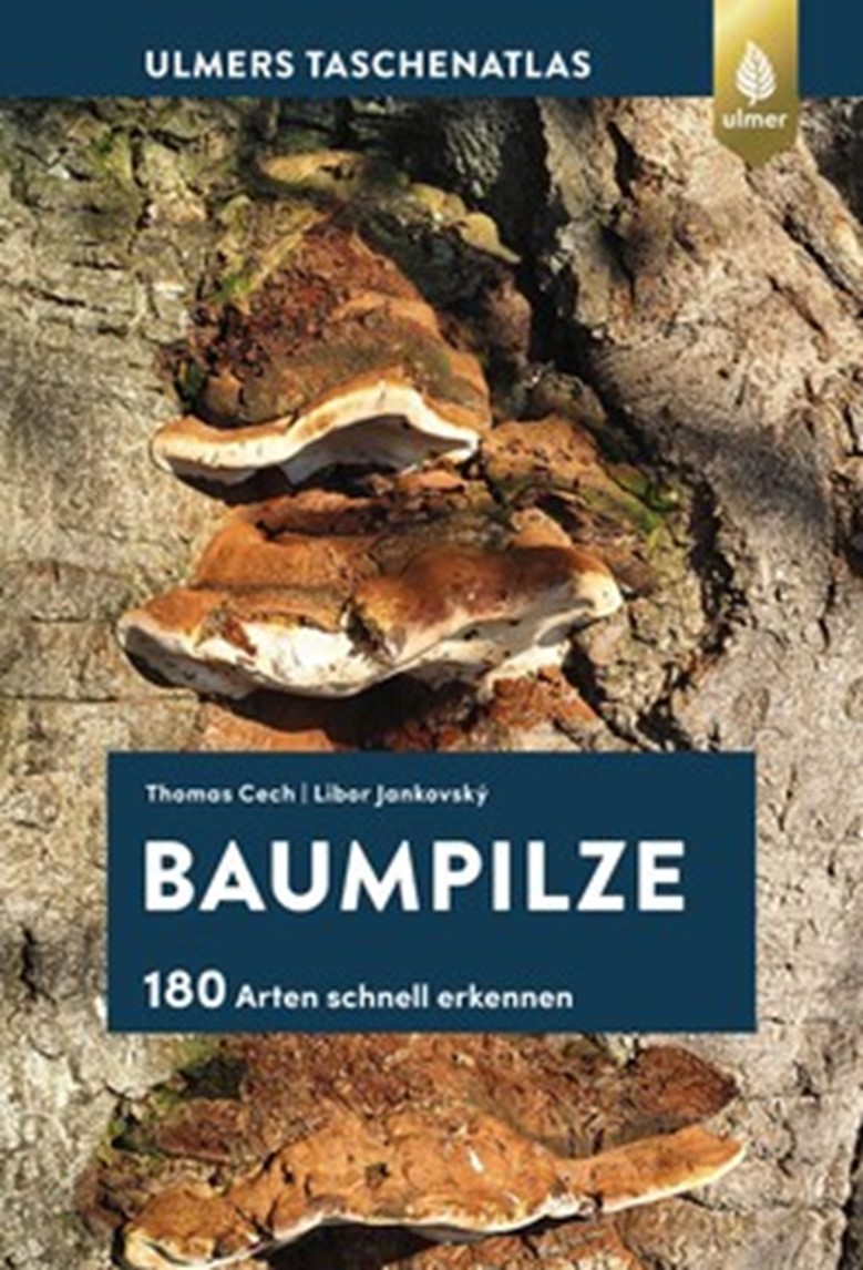 Titelbild des Buches Baumpilze