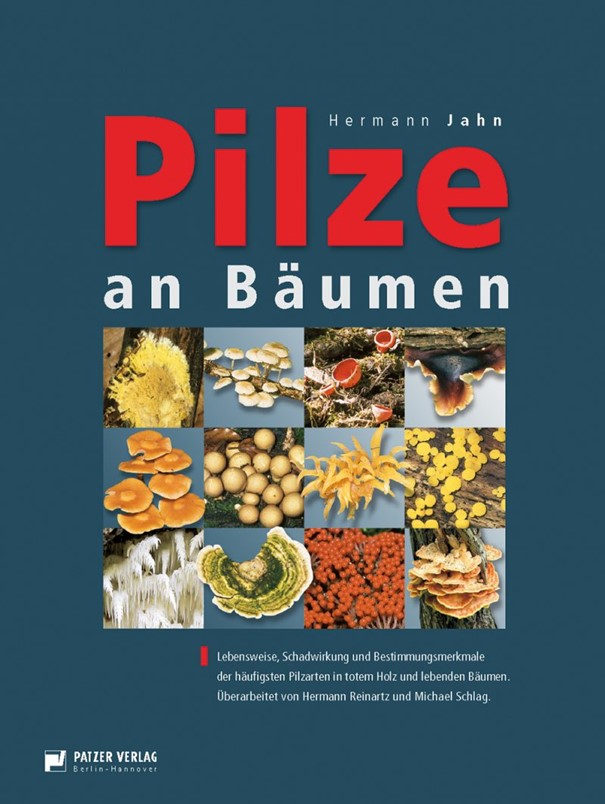 Titelbild des Buches PilzeAnBäumen