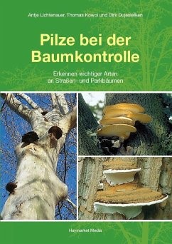 Titelbild des Artikels PilzeBeiDerBaumkontrolle